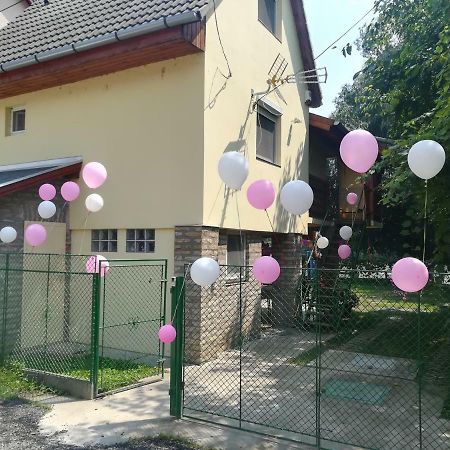 Tiszavirag Vendeghaz Villa Szeged Eksteriør billede