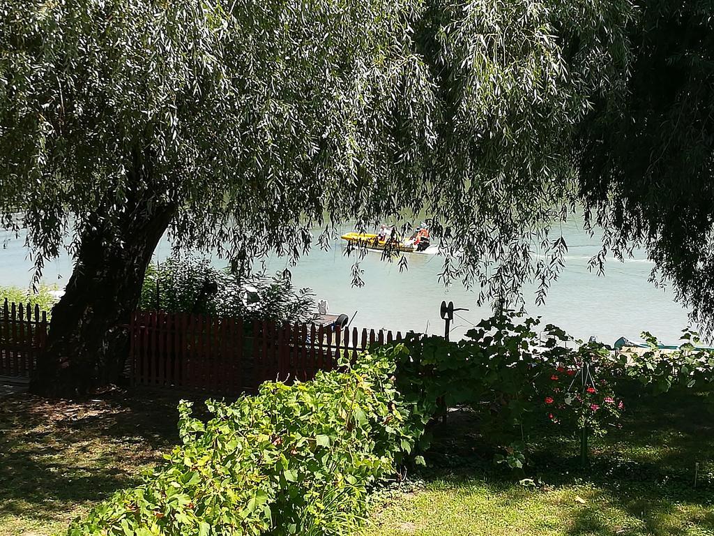 Tiszavirag Vendeghaz Villa Szeged Eksteriør billede