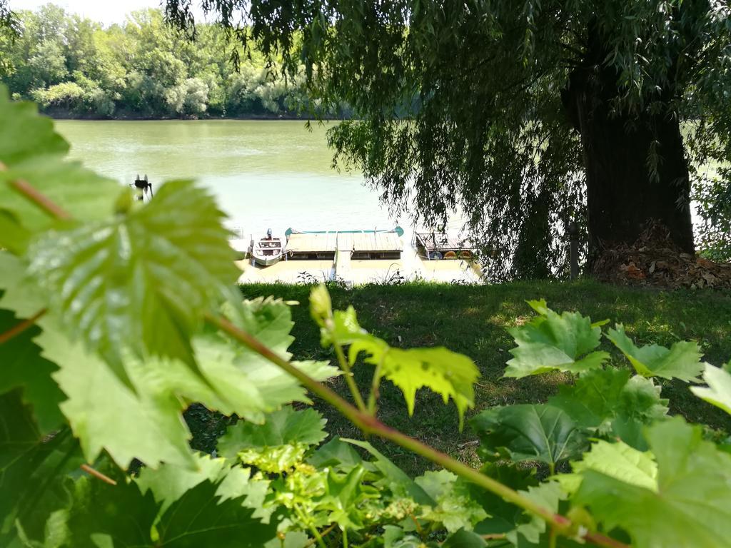 Tiszavirag Vendeghaz Villa Szeged Eksteriør billede