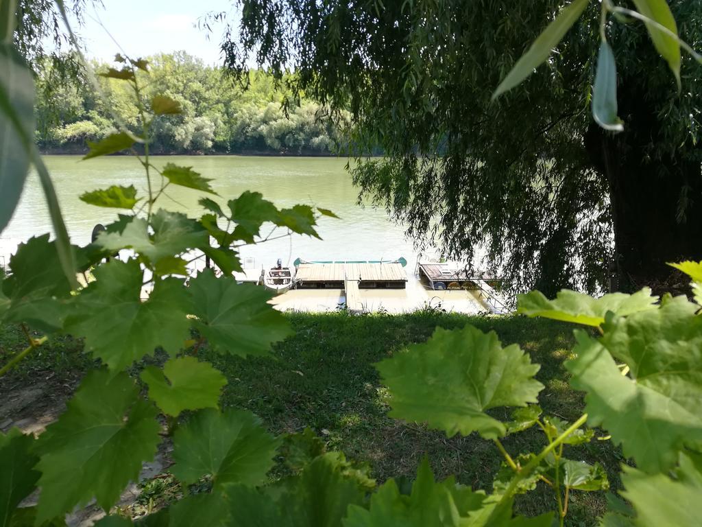 Tiszavirag Vendeghaz Villa Szeged Eksteriør billede